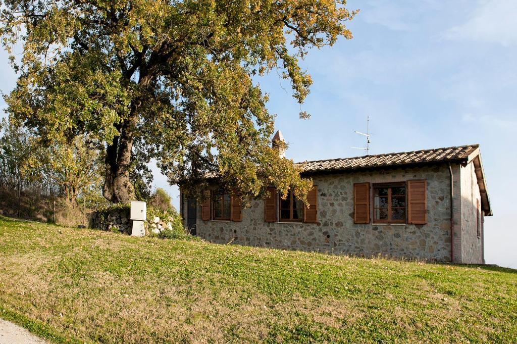 Tenuta Di Corbara Corbara  Exterior photo